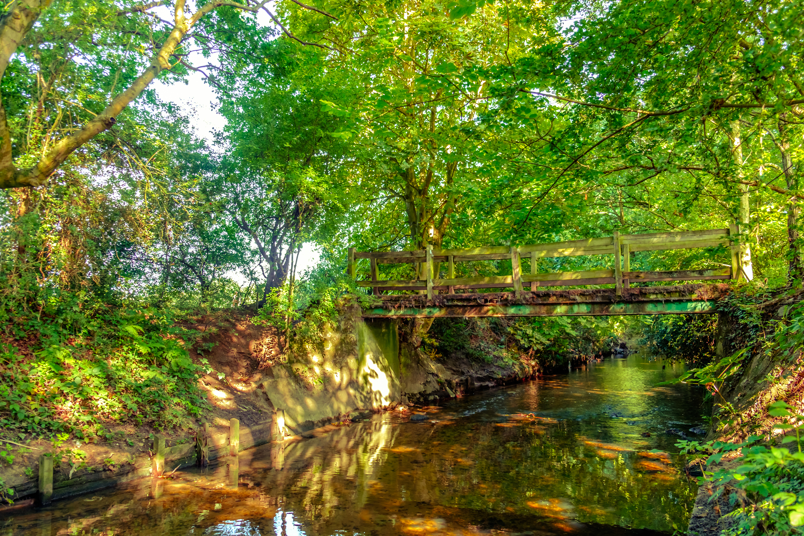 Wooden footbridge over Beverley Brook, a leafy walking route linking Wimbledon Common with Richmond Park.